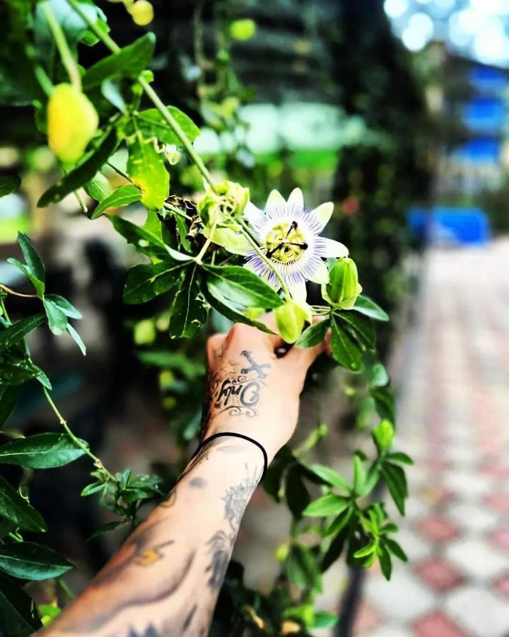 Hotel Lotus 우레키 외부 사진